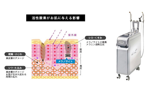 ヒト幹細胞エステ