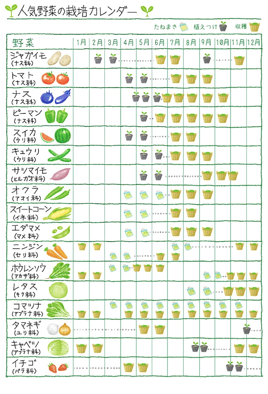 季節の野菜🌱栽培カレンダー