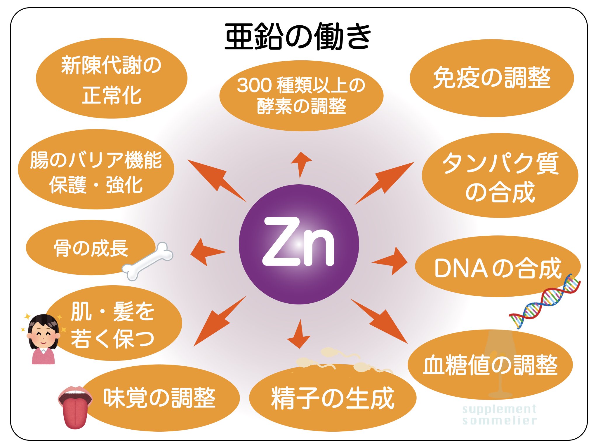亜鉛
