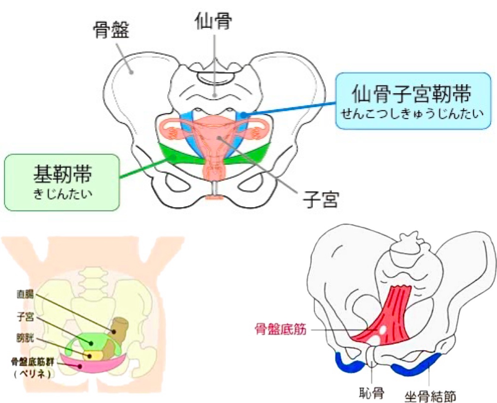 生理痛PMS骨盤矯正