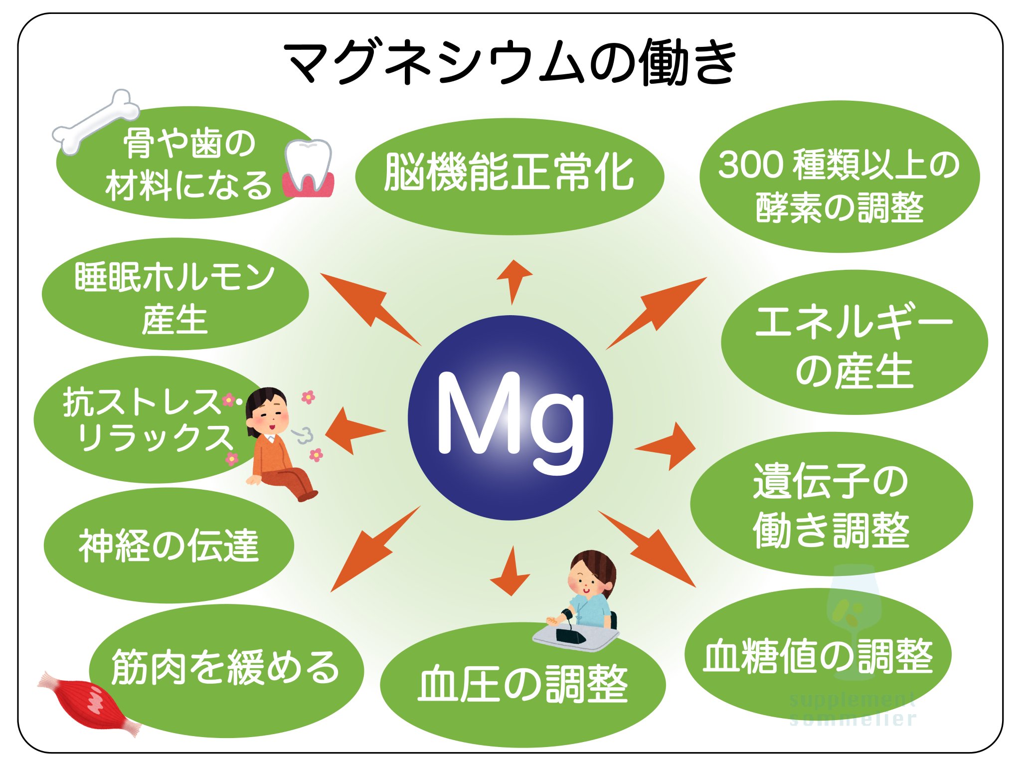 マグネシウムと糖尿病