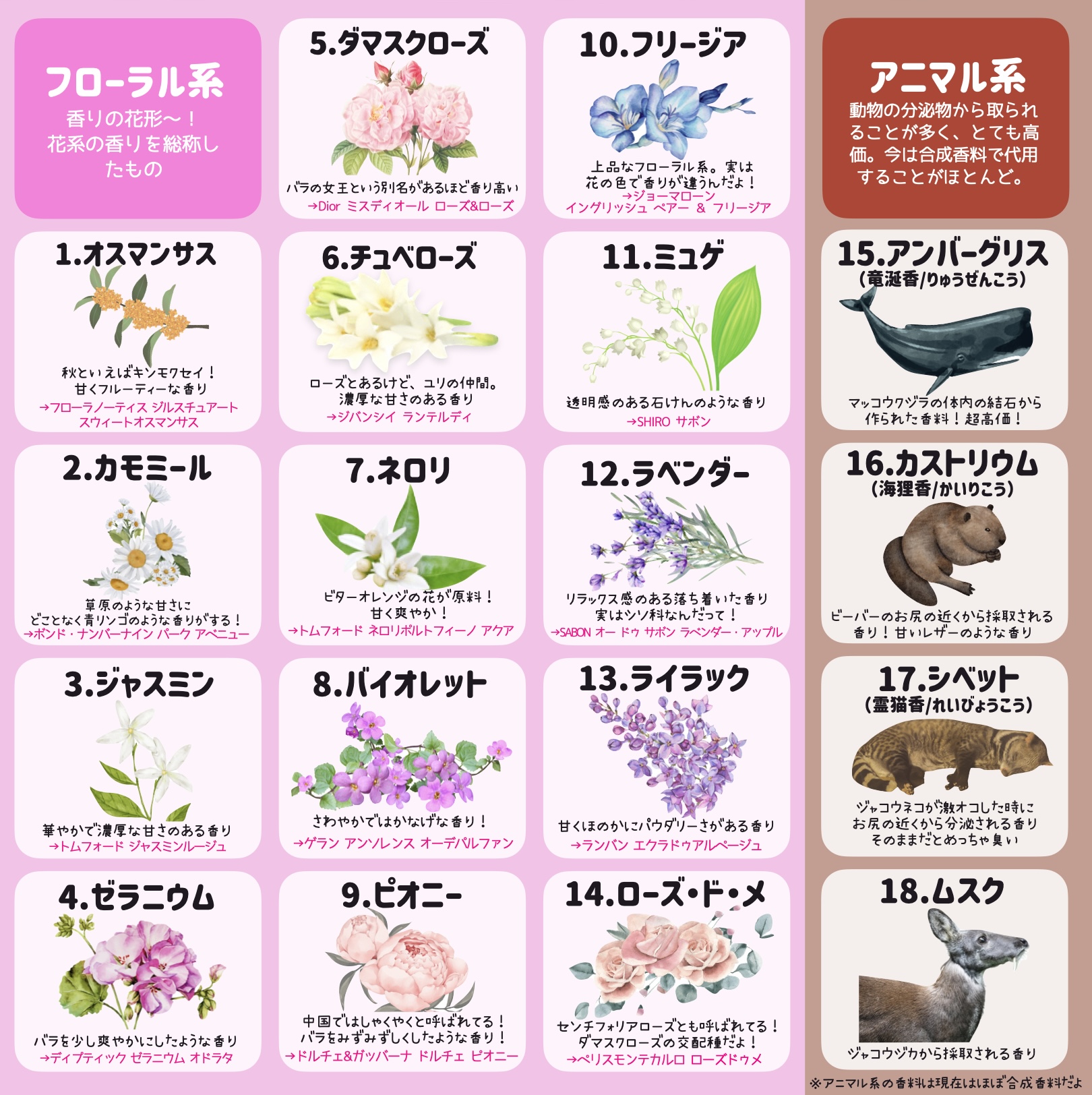 香水に使われる花💐ハーブ🌿果実🍋