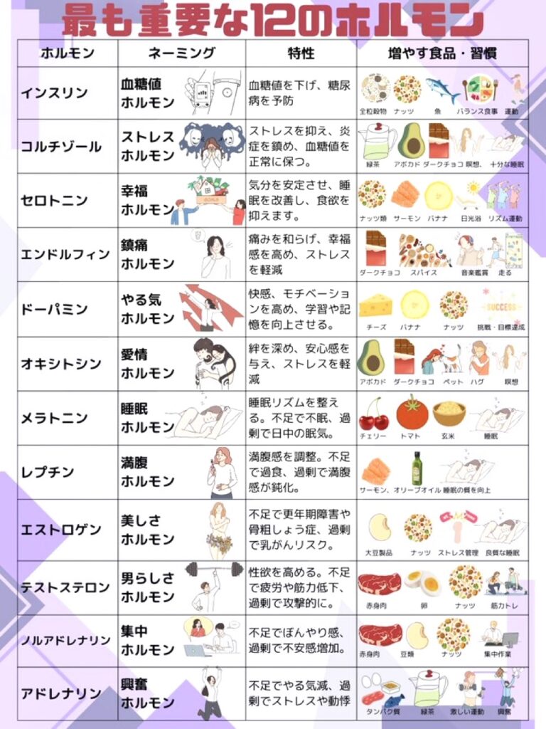 ホルモン
