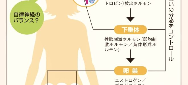 PMS生理痛リンパ
