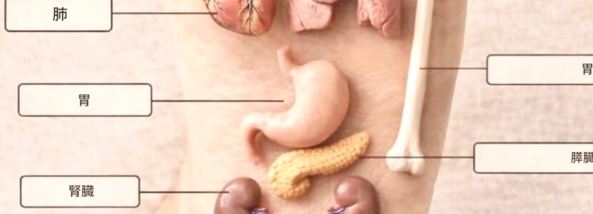 足裏・足底ツボ