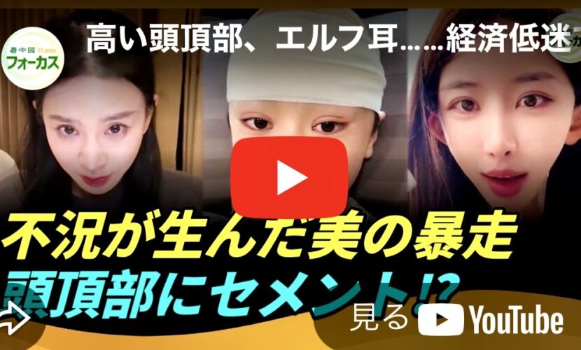 美容整形｜頭頂部・エルフ耳